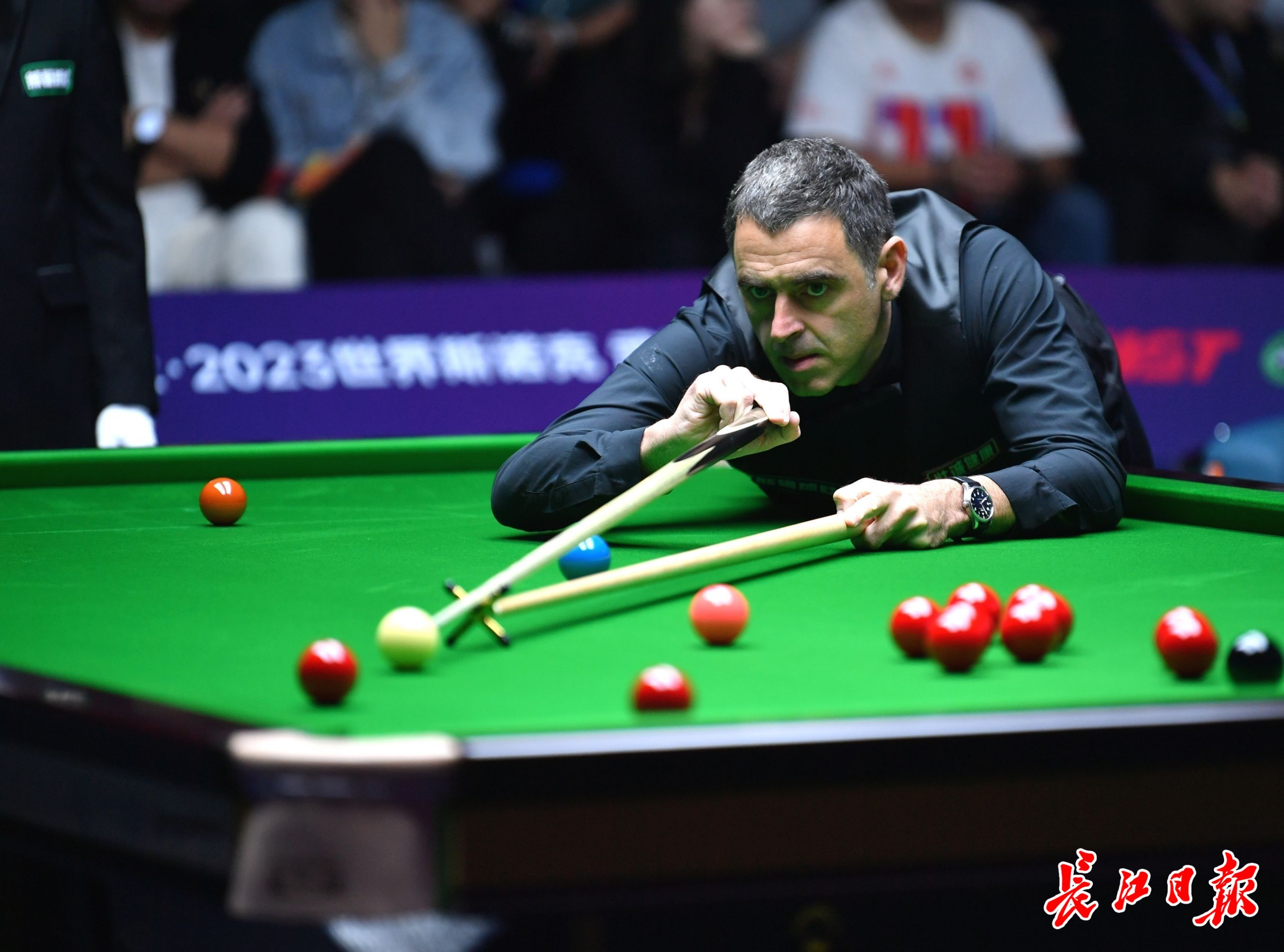 这不仅巩固 这不仅巩固