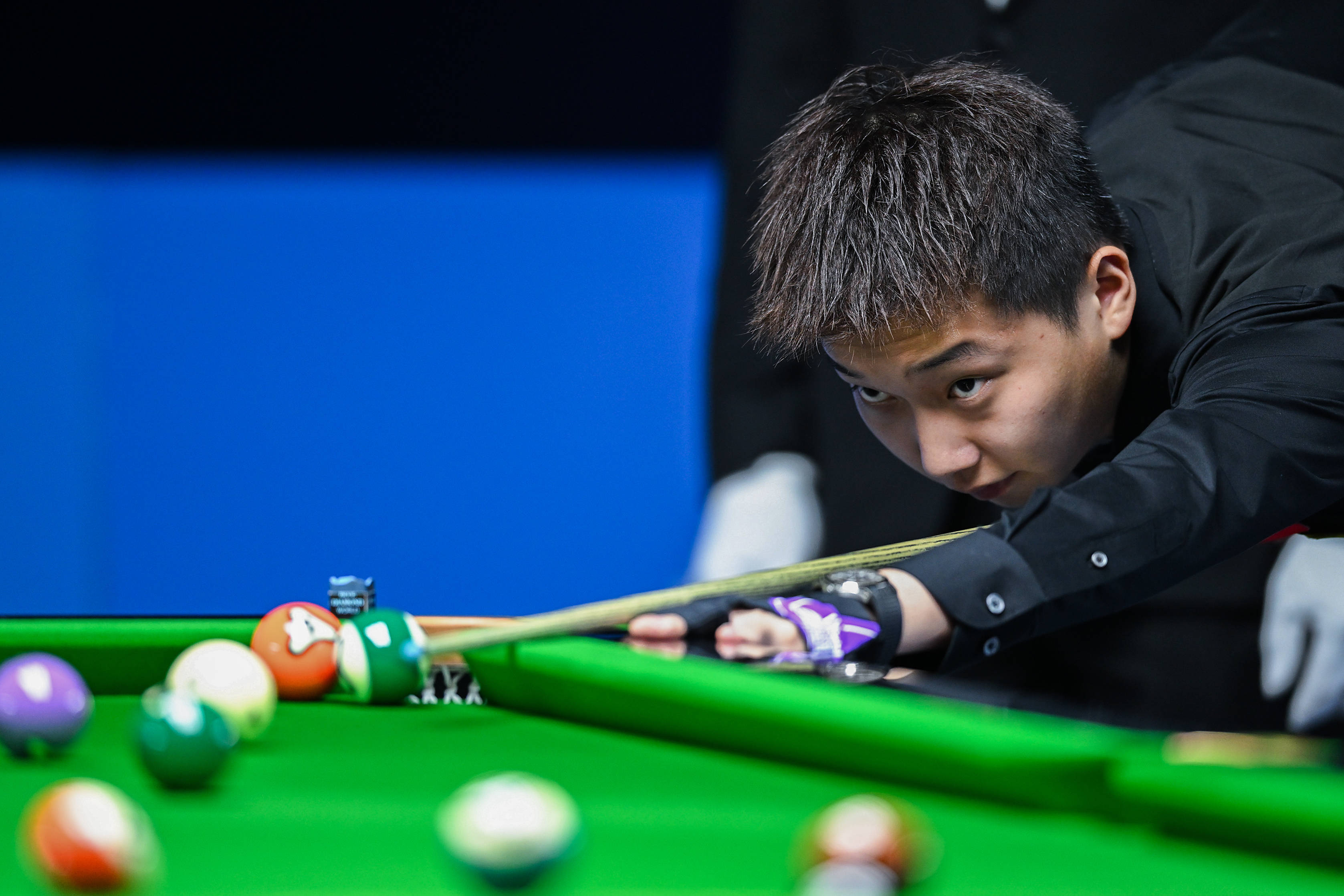 而是他多项 而是他多项