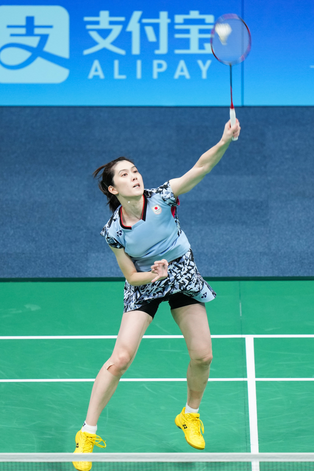 绝对优势 绝对优势